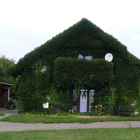 Dworek Lachowicze Grzegorzewice Exterior photo